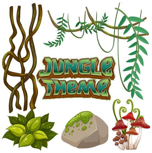 Set of jungle element vector