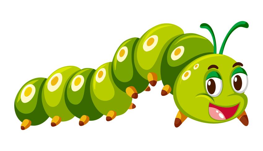 Green caterpillar crawling on white background vector