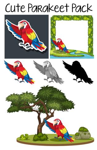 A pack of cute parrot vector