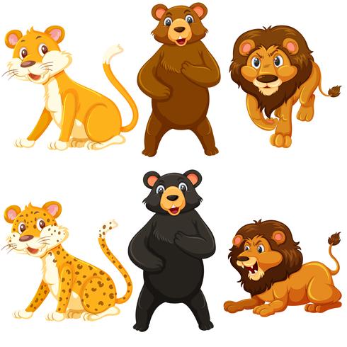 Set of whild animal character vector