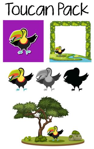 A pack of toucan vector