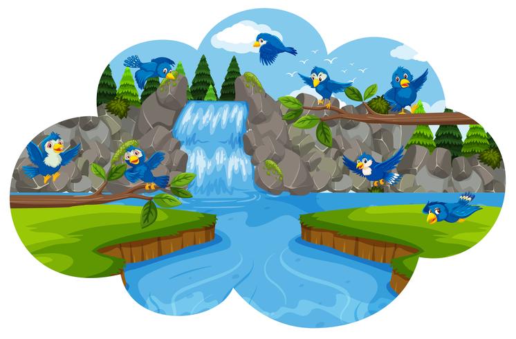 Bird at the waterfall vector