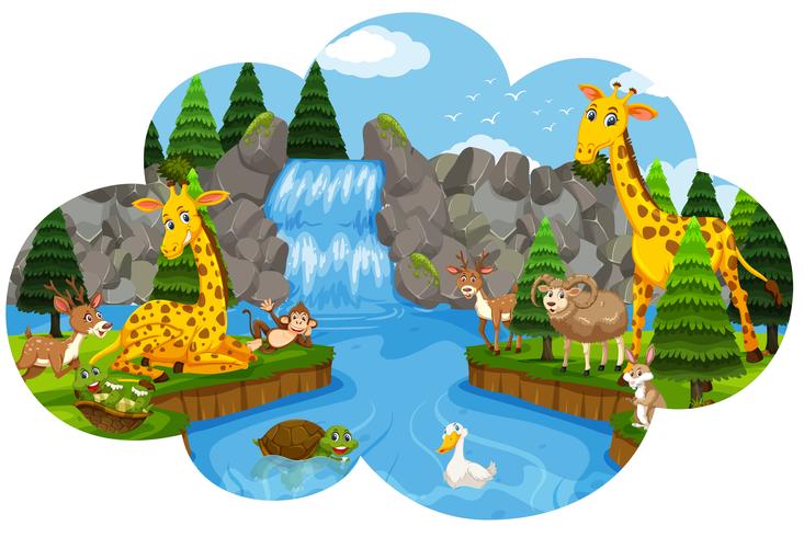 Wild animal at the waterfall 605716 Vector Art at Vecteezy Wild animal at the waterfall 605716 Vector Art at Vecteezy