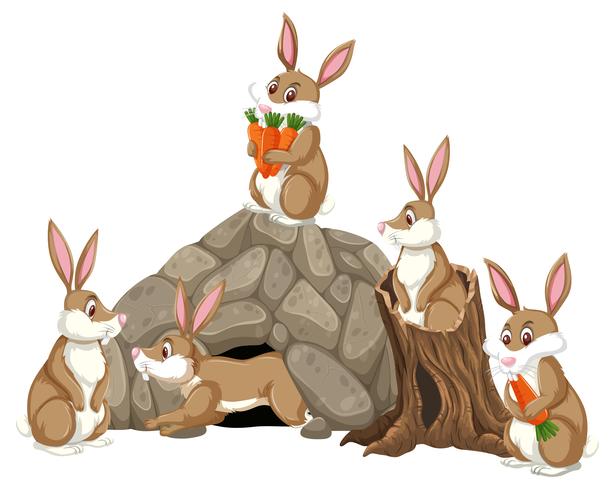 Grupo de escena de conejos. vector