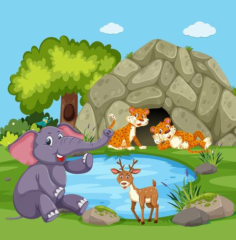 Happy animals in nature vector