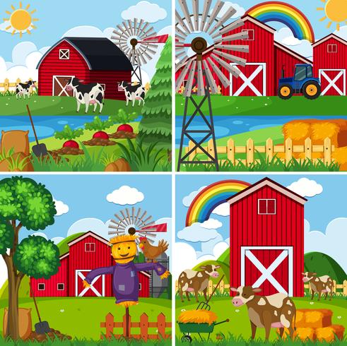 Four scenes with cows and barns vector