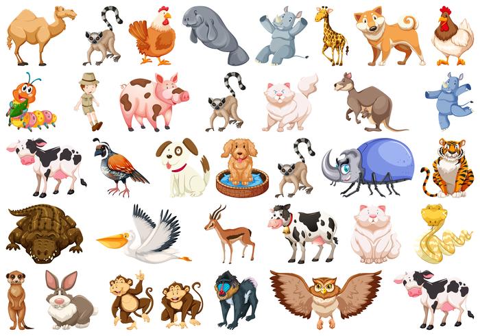 Conjunto de diferentes animales conjunto vector