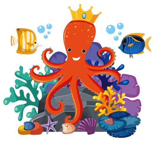 Octopus wearing crown underwater vector