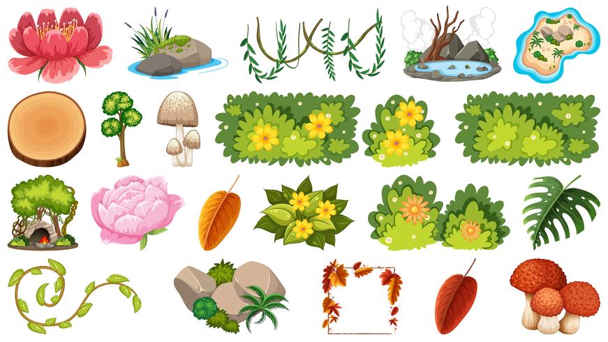 Set of ornamental plants vector