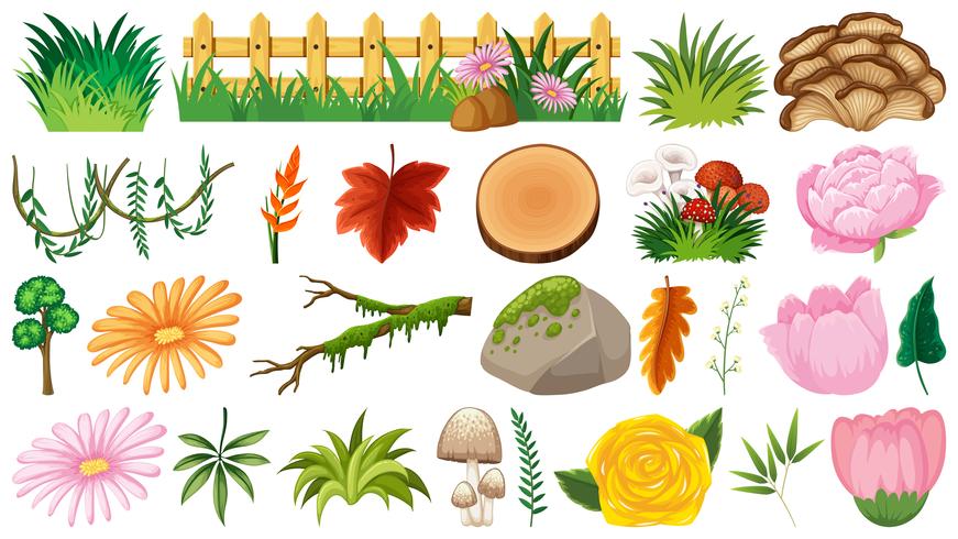Set of ornamental plants vector