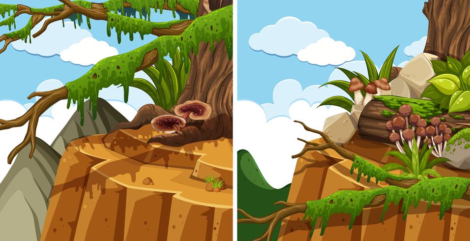 Scenes with trees on the cliff vector