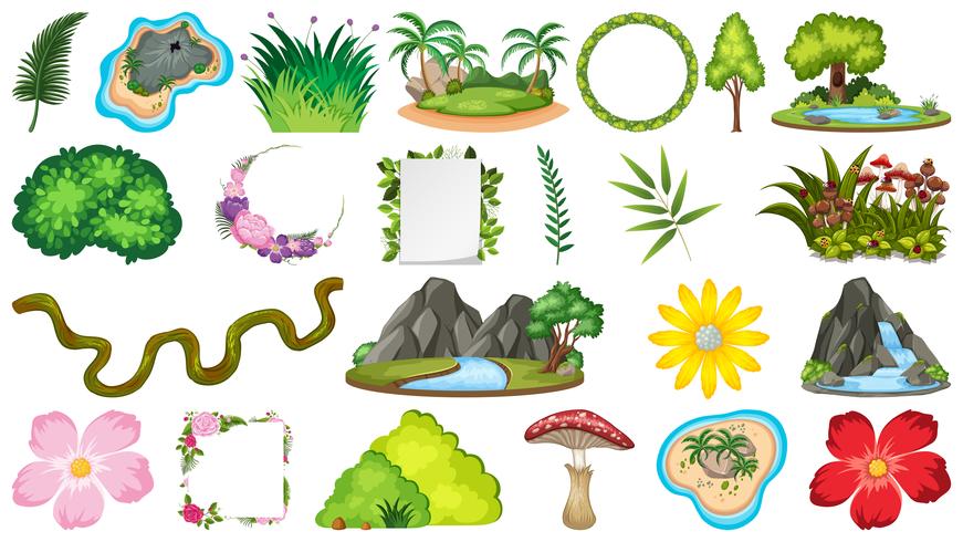 Set of ornamental plants vector