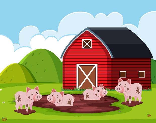 Pig at the barn house vector