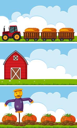 Tres escenas de granja con tractor y calabazas. vector