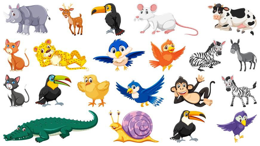 Set of wild animal vector