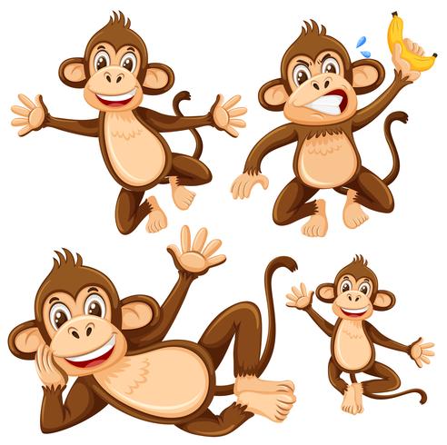 Set of monkey character vector