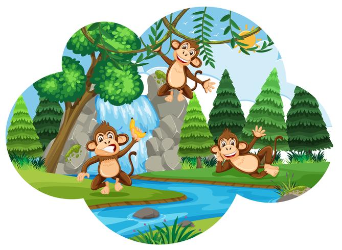 Cheeky monkeys in woods vector