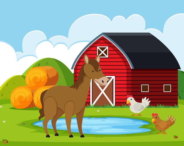 Farm animals at the barn vector