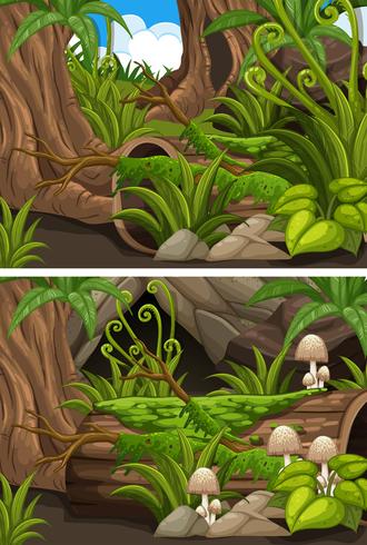 Escenas de bosque con setas y helechos. vector