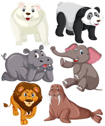Conjunto de caracteres animales. vector