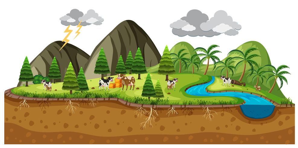 Escena de un hermoso paisaje con vacas. vector