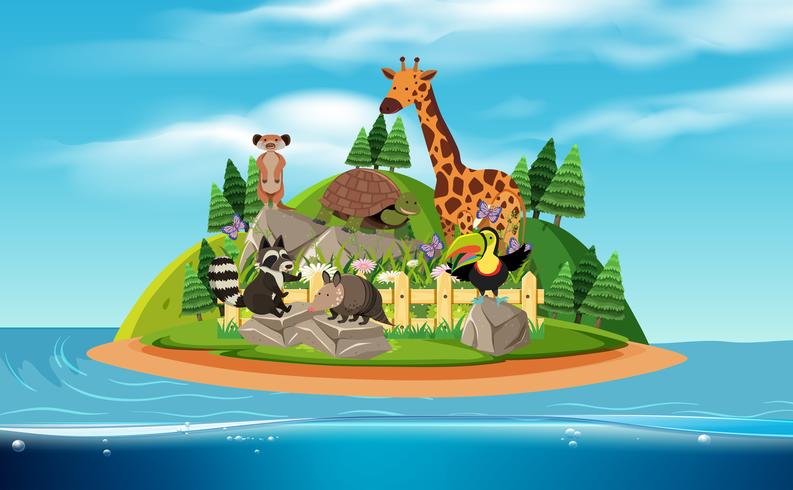 An Island and Exotic Animals vector