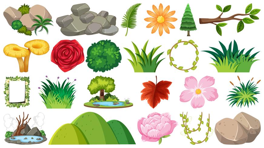 Set of ornamental plants vector