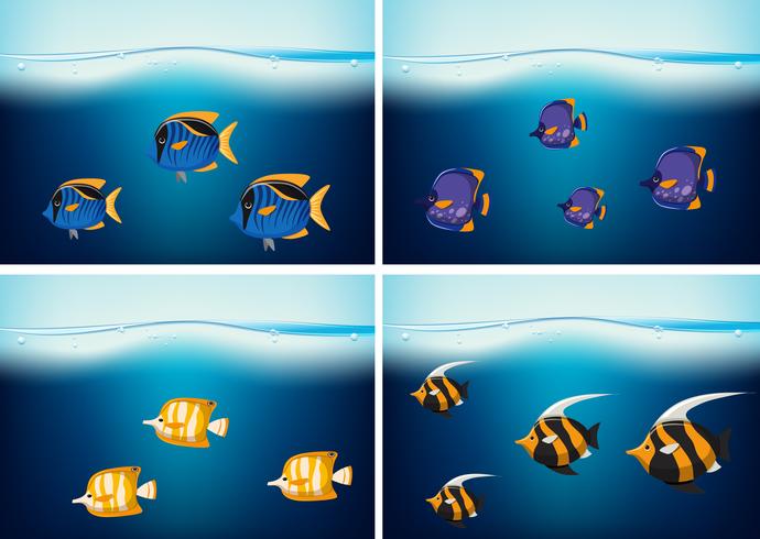 Four underwater scenes with different types of fish 606039 Vector Art at Vecteezy Four underwater scenes with different types of fish 606039 Vector Art at Vecteezy
