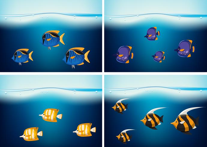 Cuatro escenas submarinas con diferentes tipos de peces. vector