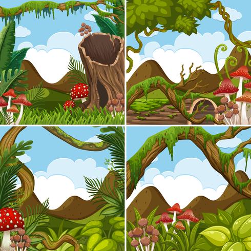 Four scenes with plants in forest vector