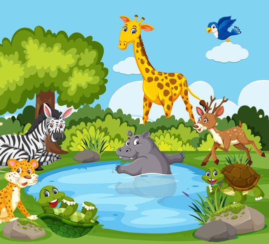 Wild animals around a pond vector