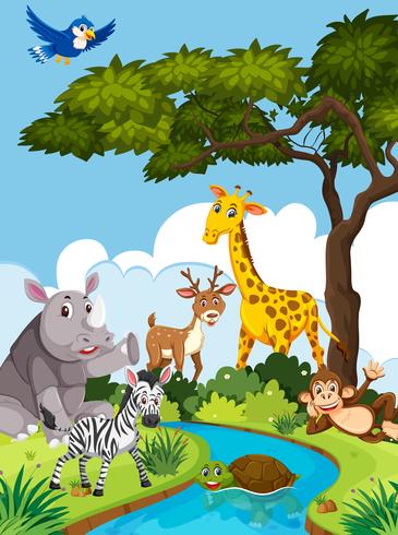 Wild animals in nature vector