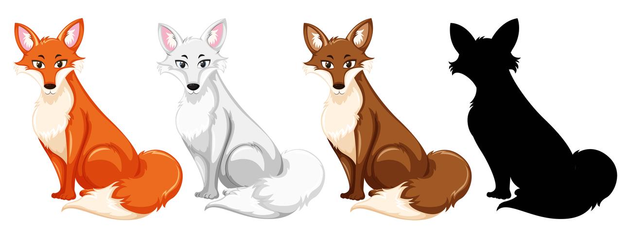 Set of different fox vector