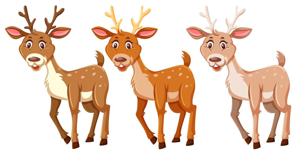 Set of cute deers  vector