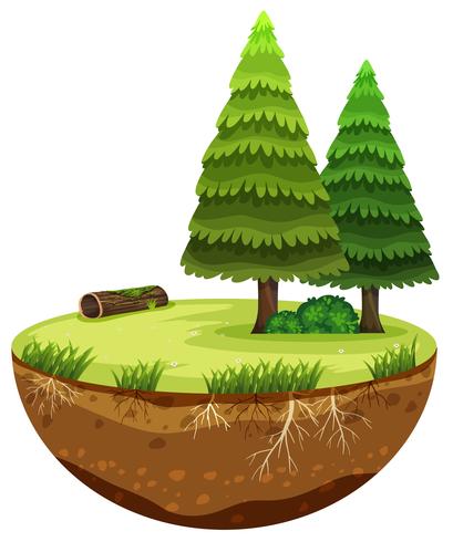 A Round Forest Landscape vector