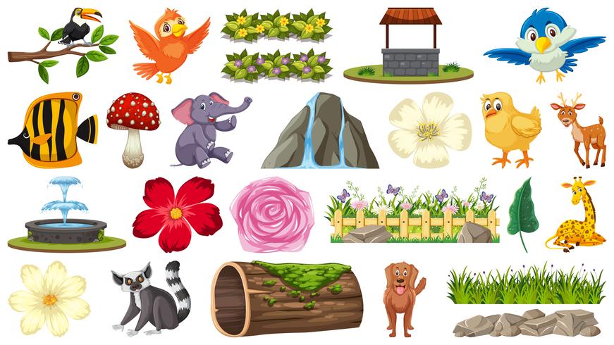 Conjunto de animales y plantas. vector