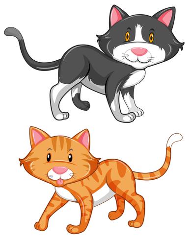 Two cute cats on white background vector