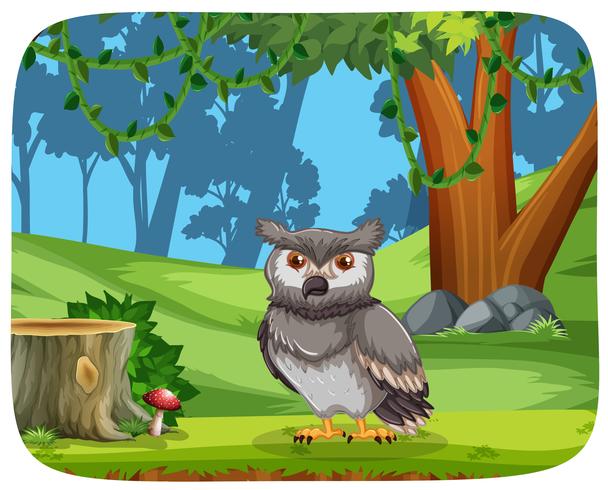 Owl in the jungle vector