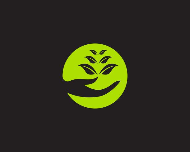 Logos green leaf ecology nature element vector icon