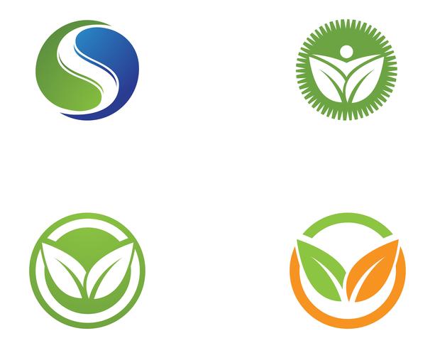 hoja verde naturaleza logotipo y símbolo plantilla vector