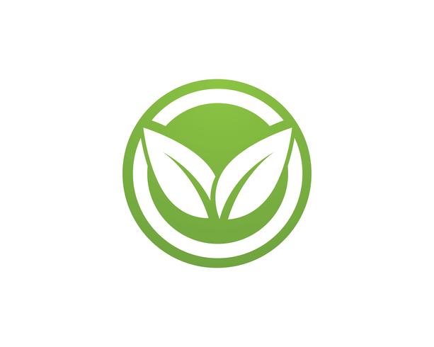 hoja verde naturaleza logotipo y símbolo plantilla vector