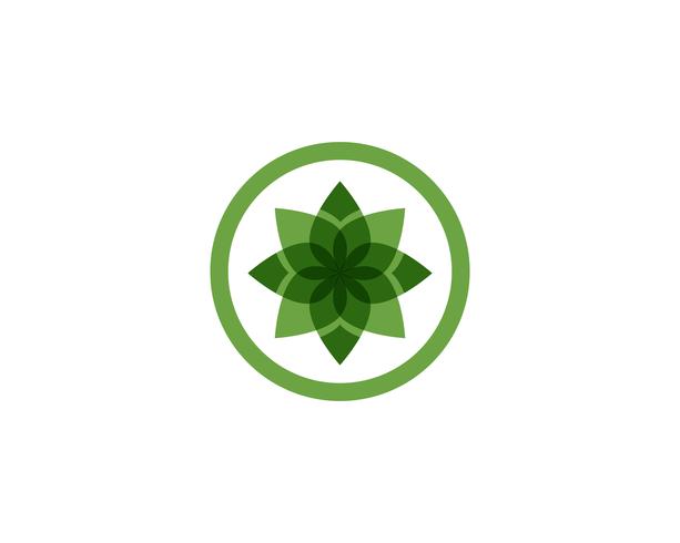 hoja verde naturaleza logotipo y símbolo plantilla vector