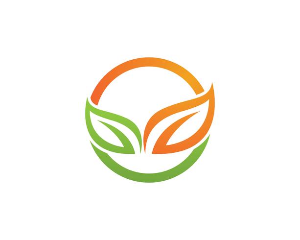 Logotipos de vector de elemento de naturaleza de hoja verde ecología