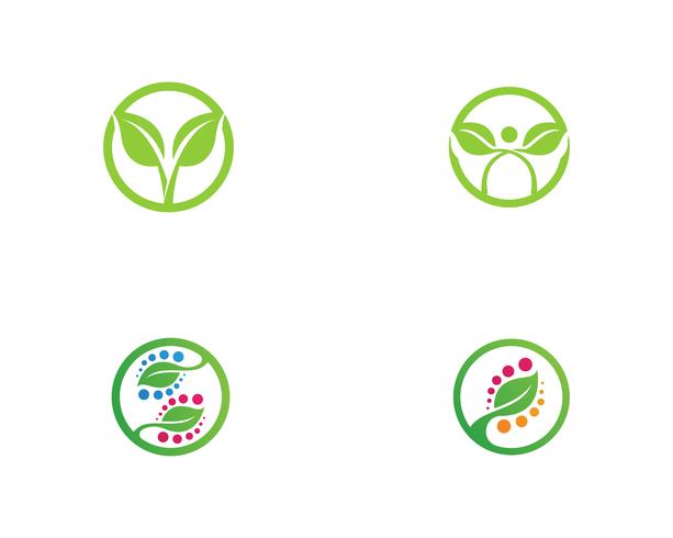 Logotipos de vector de elemento de naturaleza de hoja verde ecología