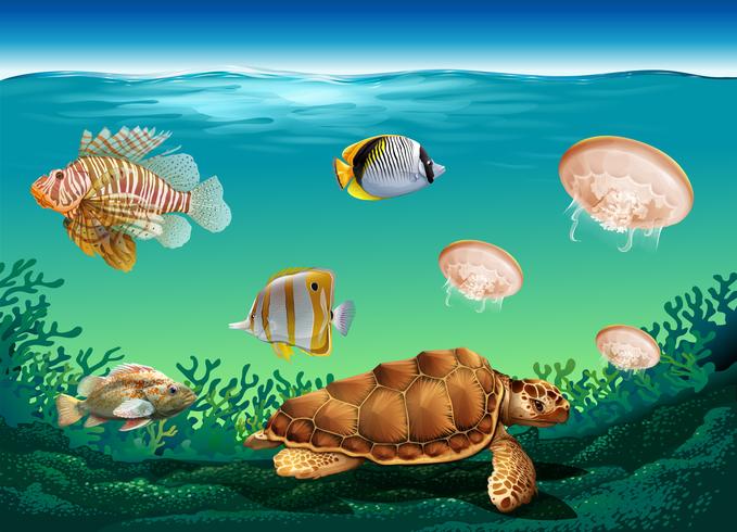 Escena submarina con muchos animales marinos. vector