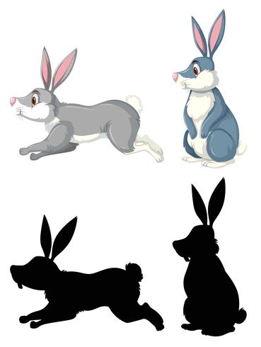 Rabbit in diffrent design vector