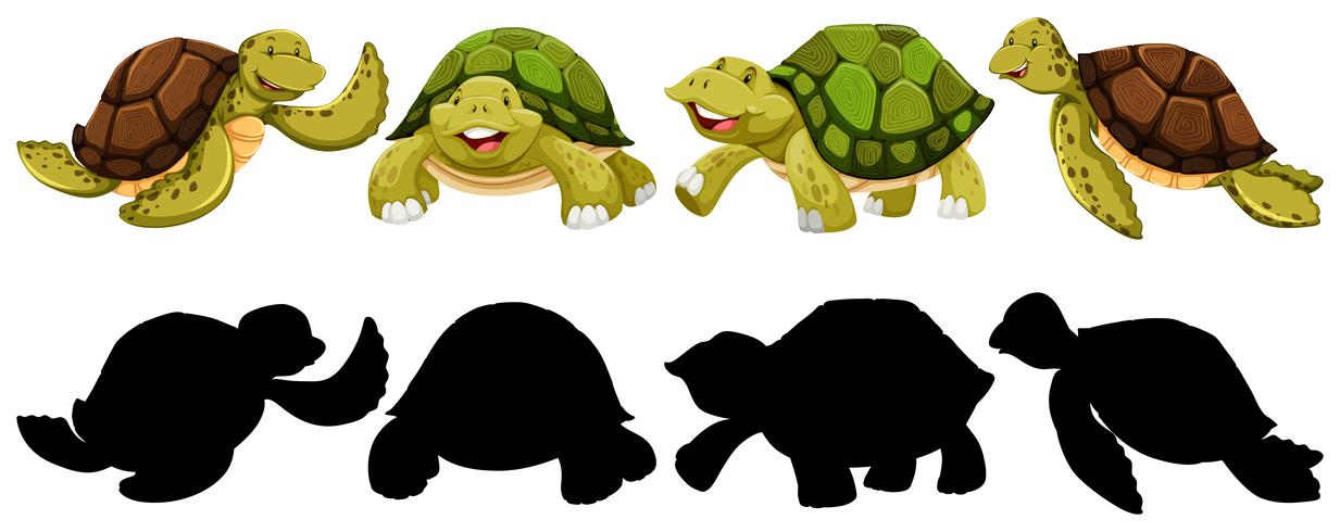 Conjunto de caracteres de tortuga. vector