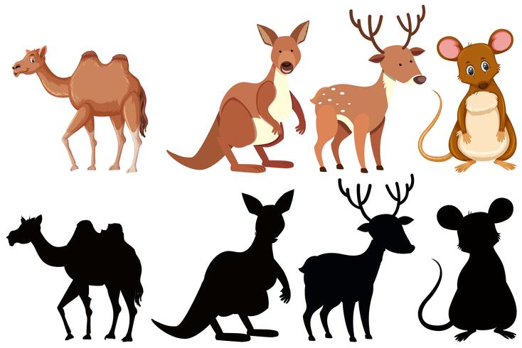 Set of cute animal vector