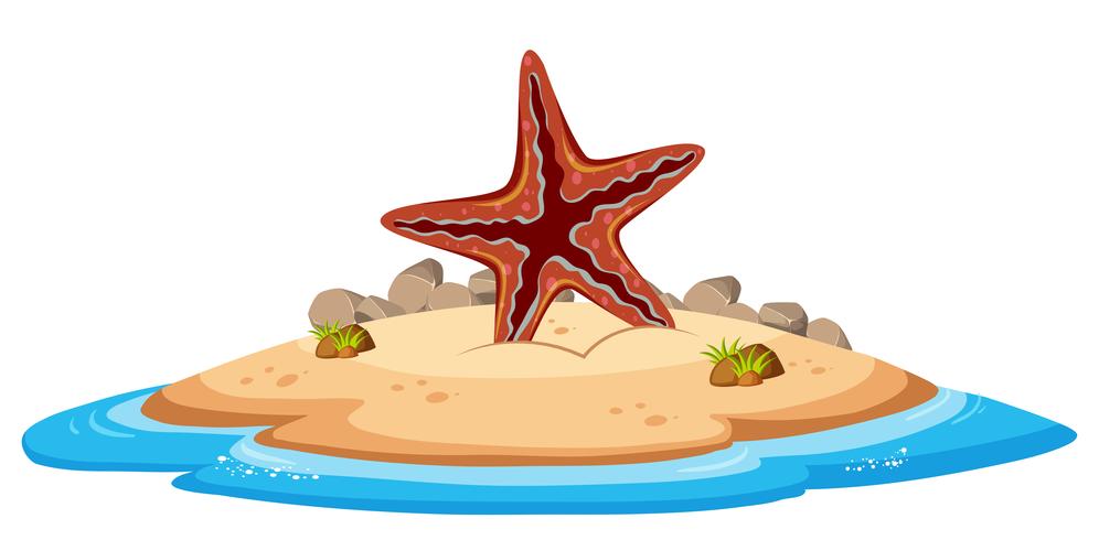 Isolated starfish on island vector