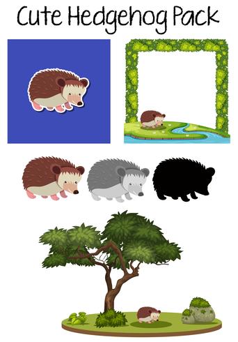 A cute hedgehog pack vector